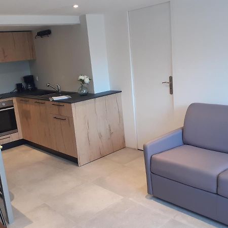 Logement Entier 4 Personnes Villefranche Sur Saone エクステリア 写真